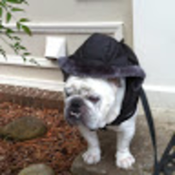 Meet the Posher Other - Meet your Posher, Surabhi